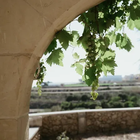 Villa Dar Juno Traditional Gozo San Lawrenz